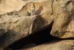 Apr�s une h. d'attente, fabuleuse d�couverte !