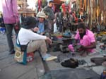 En Inde il y a beaucoup de m�tiers ...
