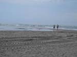 La pointe Nord du Jutland