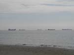 Des bateaux � cot� de Fredrikshavn
