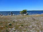 Gamlehamn