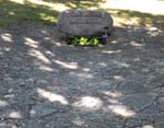 La tombe de Ingmar Bergman