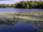 La rivi�re Mukhavets