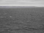 <i>Gotska sand�n</i>, a Swedish island