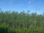 <i>Le lendemain matin:</i> la mine de fer � Kiruna ...