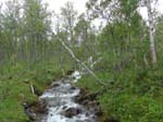 <i>Jour 3:</i> on monte vers <i>le pic sans nom</i>