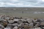 Le Crotoy: Stranden under l�gvatten