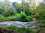 Kvarnen Bescont