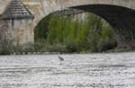 Un h�ron