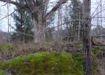 Paysage d'automne