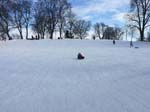 Kronobergsparken