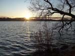 <i>Januari:</i> V�r M�laren