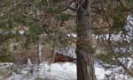 Inte mycket sn� !