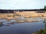 Nord�stra delen av sj�n