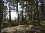 Utsikt �ver <i>Br�viken</i>