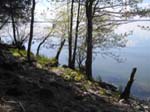 P� Adels� med Leif