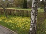 H�r �r vi l�ngt ifr�n Corona-viruset ...