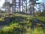 Tr�dg�rden framf�r huset
