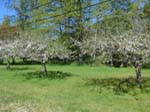 En promenad mot Yttersv�ngen