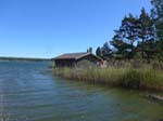 Liten �n vid lilla badet