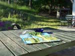 V�rmd�kartan framf�r dagens sk�rd