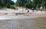 On se baigne le matin ...