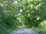 Tynning�: une �le pleine de verdure