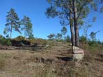 Les montagnes <i>Serra Amarela</i>