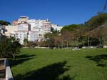 ... jardim
