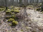 Brons�ldersr�se