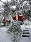 <i>Januari:</i> Saltar� ...