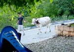 Village life in the evening