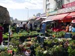 Le march�e aux fleurs
