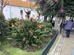 <i>Jardim P�blico</i>