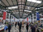 <i>Setubal:</i> The big market