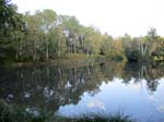 <i>Orl�ans:</i> La Loire