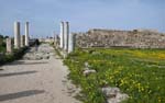 The colonnaded street