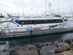 Our dolphin and whale watching boat
