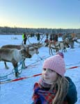 The reindeer arrive