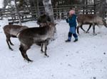 Liv and the reindeer