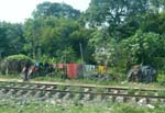 Ce que l'on voit du train