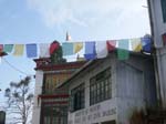 Tibetan Refuge Center