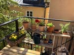Our balcony