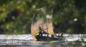 The Loire festival !