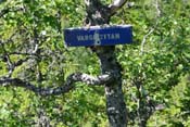 �The Wolf Chasm�