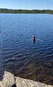 The water is warm !