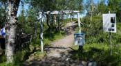 �The flower trail�