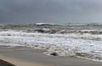 The ocean is rough !